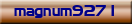 magnum9271