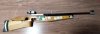 Feinwerkbau Gwewehr C62