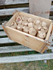 luftgewehrmunition - Punktkugeln
