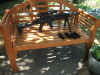 CZ EVO3 . 22 lfB