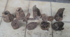Lot Handgranaten teile, F1, RG42, RPG43, Stielhandgranaten KuK