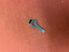 P.08 Schlüssel / Ladehilfe – Adler 655 – Original