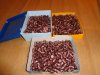 .452 200grs SWC lackiert 950Stück