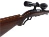 Winchester Mod. 88 im Kal. 308 Win mit Zeiss Glas bei taunus-waffen.de