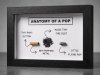 ANATOMY OF A POP .22lr .22lfB kein wk2 kleinkaliber Schaukasten Geschenk MUNITIONSDISPLAY