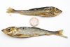 200g LODDE ! getrockneter Fisch 0,2kg Trockenfsich für Hunde & Katzen | Mallotus villosus > Welpe +