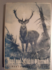 JAGD UND WILD IN ÖSTERREICH