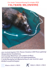 Faltbare Wildwanne / Wildtransportsack | 80x100x30cm pflegeleicht PVC LKW Planenstoff Metallösen !