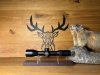 Zielfernrohr Blaser B2 2-12x50 iC S - Waffen Schlemmer Ingolstadt