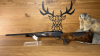 Blaser R8 Success Leder .308Win - 52cm - Kannelierung - Holzklasse 7 - Waffen Schlemmer Ingolstadt