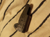 Militaria WW1 Visiertunnel Lee Enfield MKIII