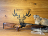 Blaser R8 Success .308Win - Holzklasse 4 - 50cm - M15x1 - Waffen Schlemmer Ingolstadt