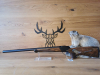 Blaser R8 Success Silence .308Win - 47cm - Integralschalldämpfer - Waffen Schlemmer Ingolstadt