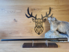 Austauschlauf Blaser R8 .338 Lapua Magnum - 68,5cm - M17x1 - Semi Weight - Waffen Schlemmer