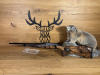 Sauer 505 Iconic .308Win - 51cm - M15x1 - Highland Paket - Holzklasse 5 - NEUHEIT - Waffen Schlemmer