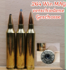 .264 WIN MAG, verschiedene Geschosse, Deko-Patrone