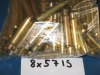 8x57IS RWS CineshotHÜLSEN 100 stk