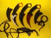 3x Karambit Messer Konvolut 43EDL