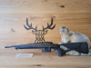 Blaser R8 Ultimate X 8x57IS - 42cm - M15x1 - Waffen Schlemmer Ingolstadt