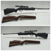 >!< ***** Das Perfekte Luftgewehr **** TELL 100 **** + Holz Schaft + PVC Schaft ***** >!<