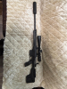 Bergara Premier Elevate