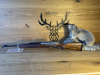 Browning BAR 4X Platinum Holzschaft .30-06 - 53cm - Waffen Schlemmer Ingolstadt