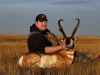Jagd auf Pronghorn (Gabelbock) in Alberta