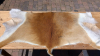 1 x Moorantilope (Backskin) zu verkaufen (neu)