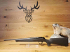 Blaser R8 Professional .308Win - 52cm - M15x1 - Gebrauchtwaffe - Waffen Schlemmer Ingolstadt