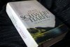 SCHWERT UND HARFE - Die große Island-Saga Frank Delaney