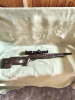 Ruger 10/22 Target Lite