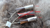 Vorderlader Pulvermessdose aus Hirschgeweih/ Longhunter Muzzleloader Black Powder Measure