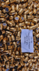 .451/230grs Geschosse Armscore Bulk RN FMJ 1000 Stk. # SSZ Berka