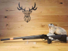 Blaser R8 Ultimate Silence .308Win - 47cm - Integralschalldämpfer - Sonderposten - Waffen Schlemmer