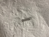 ME69 Springfield Schlagbolzenfeder
