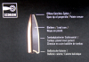 100 Stück NEUE RWS Geschosse MJ MATCH-JAGD SCORION .224 5,6mm 52gr 3,4g #2313343 Präzises Hohlspitz