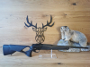 Blaser R8 Ultimate .308Win - 52cm - M15x1 - Linkswaffe - Waffen Schlemmer Ingolstadt