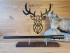 Austauschlauf Blaser R8 .308Win - 52cm - M17x1 - Semi Weight - Waffen Schlemmer