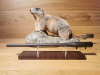 Blaser R8 Wechsellauf .308Win - 42cm - M15x1 - Waffen Schlemmer