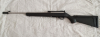 Ruger 10/22 aus 2016