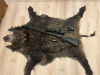 Haenel Jäger 10/ Kaliber 308. mit Visier Steiner Meopta 3-18x56