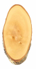 Trophäenbrett BIRKE natur ca. 42-45cm x 22cm Hirschschild Rotwild Hirsch Damwild Rothirsch Geweih