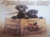 Blechwerbeschild Kopie Remington HUNDE 20x30 cm