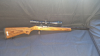 Halbautomatische Büchse Ruger Target 10/22 .22lr