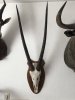 Kapitales Oryx Gehörn auf Holzschild – Afrikanische Spießbock Trophäe / Geweih
