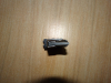 Magazin Erma SL M1 cal 22lfb, 5 Schuß