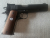 Essex Arms 45 ACP für Sportschützen