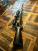 Winchester XPR 223