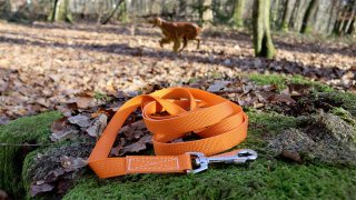 Stabile ORANGE Umhängeleine ORANGE Gesamt 185cm lang 20mm breit | Zugfest inkl Wirbel Karabinerhaken
