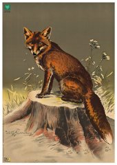 1 Stück - DJV Scheibe Nr. 3 FUCHS sitzend nach LINKS 86x122cm | 50m / 100m BJV/DJV Schießnadeln ...